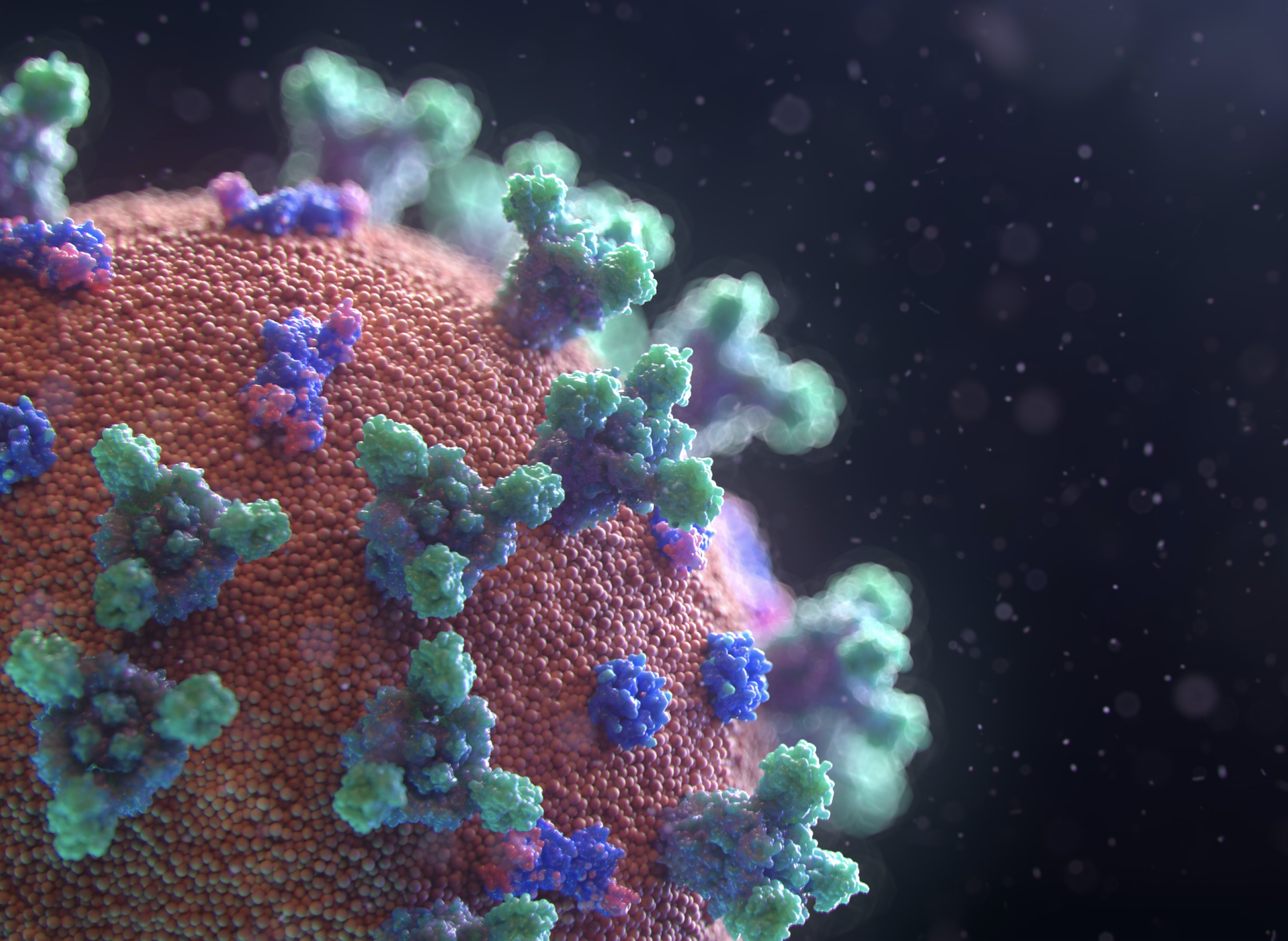 COVID-19 Virus